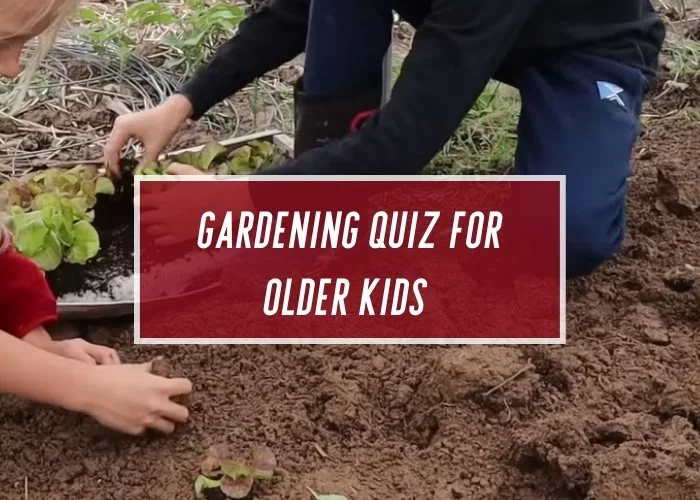 Gardening Quiz For Older Kids - Pro Gardening Blog